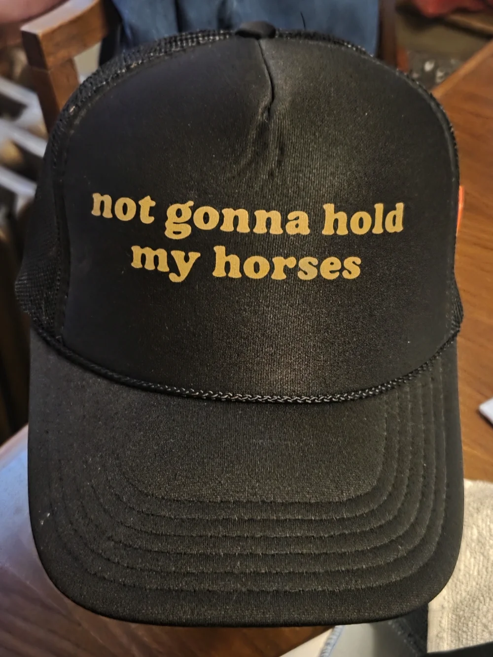 Trucker Hat with Gold 'not gonna hold my horses' - Picture 1 of 2